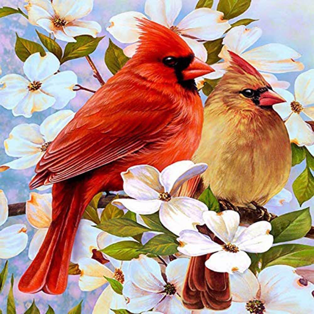 Two Cardinals Diamond Painting Kits Full Drill Best Diamond Painting