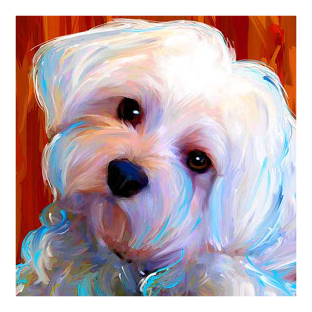 Maltese Dog Pet | 5D Diamond Painting Kits | OLOEE