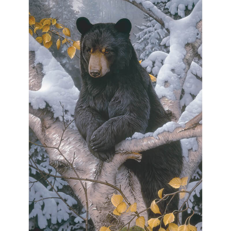 Black Bear On Tree | 5D Diamond Painting Kits | OLOEE