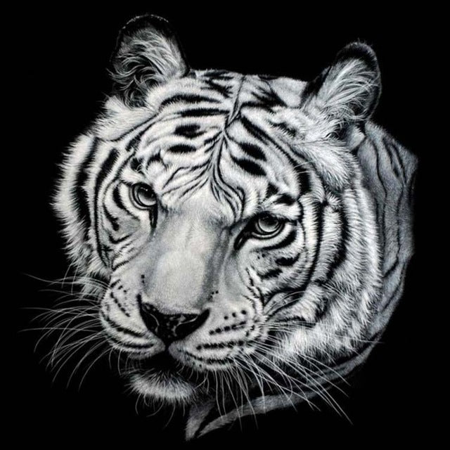 Black And White Tiger Painting | 5D Diamond Painting Kits | OLOEE