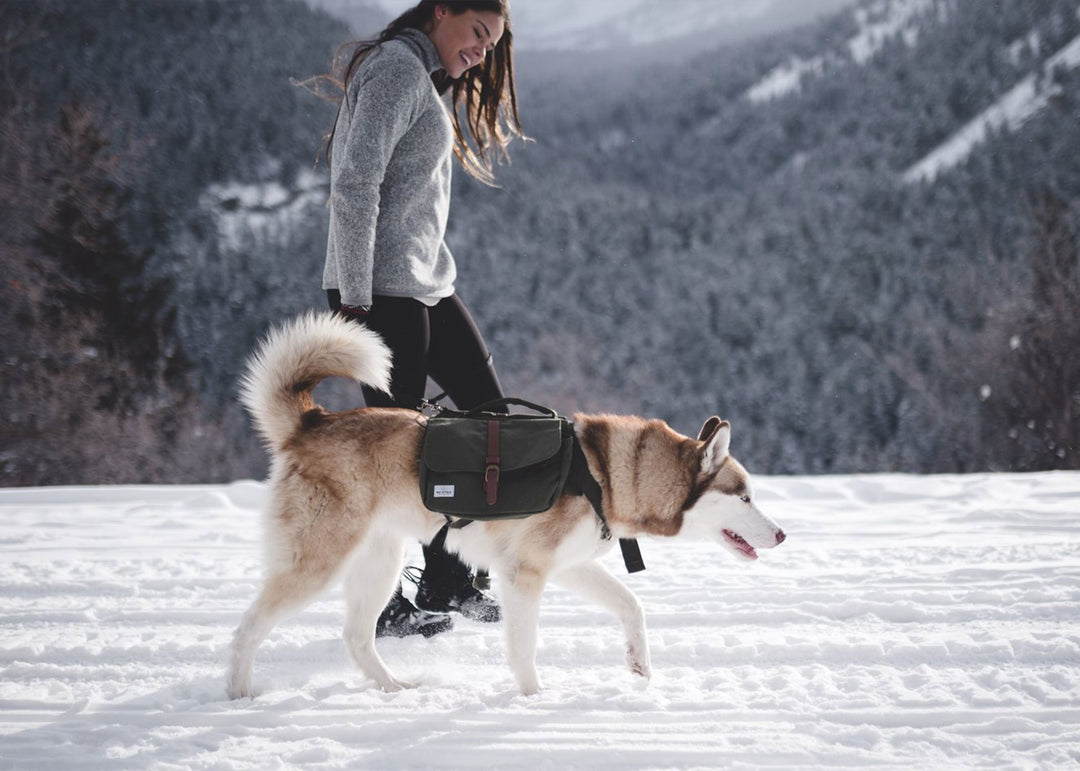 best dog walking backpack