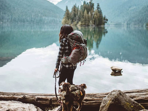 Backpacking with your adventure dog