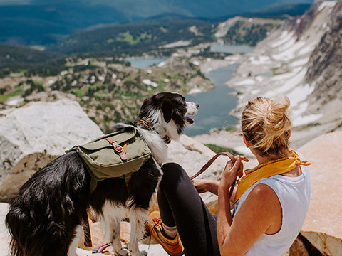backpacking trip with dog 