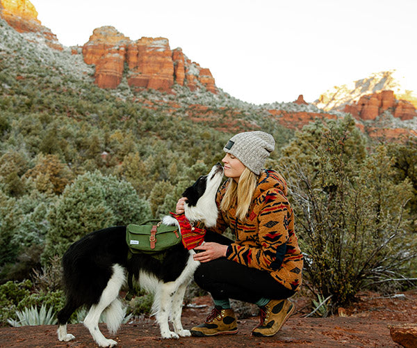 dog hiking in sedona with backpack