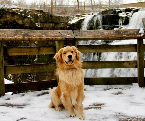 Cuyahoga National Park Dog-Friendly 