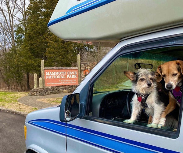 Dog-friendly Mammoth Cave National Park