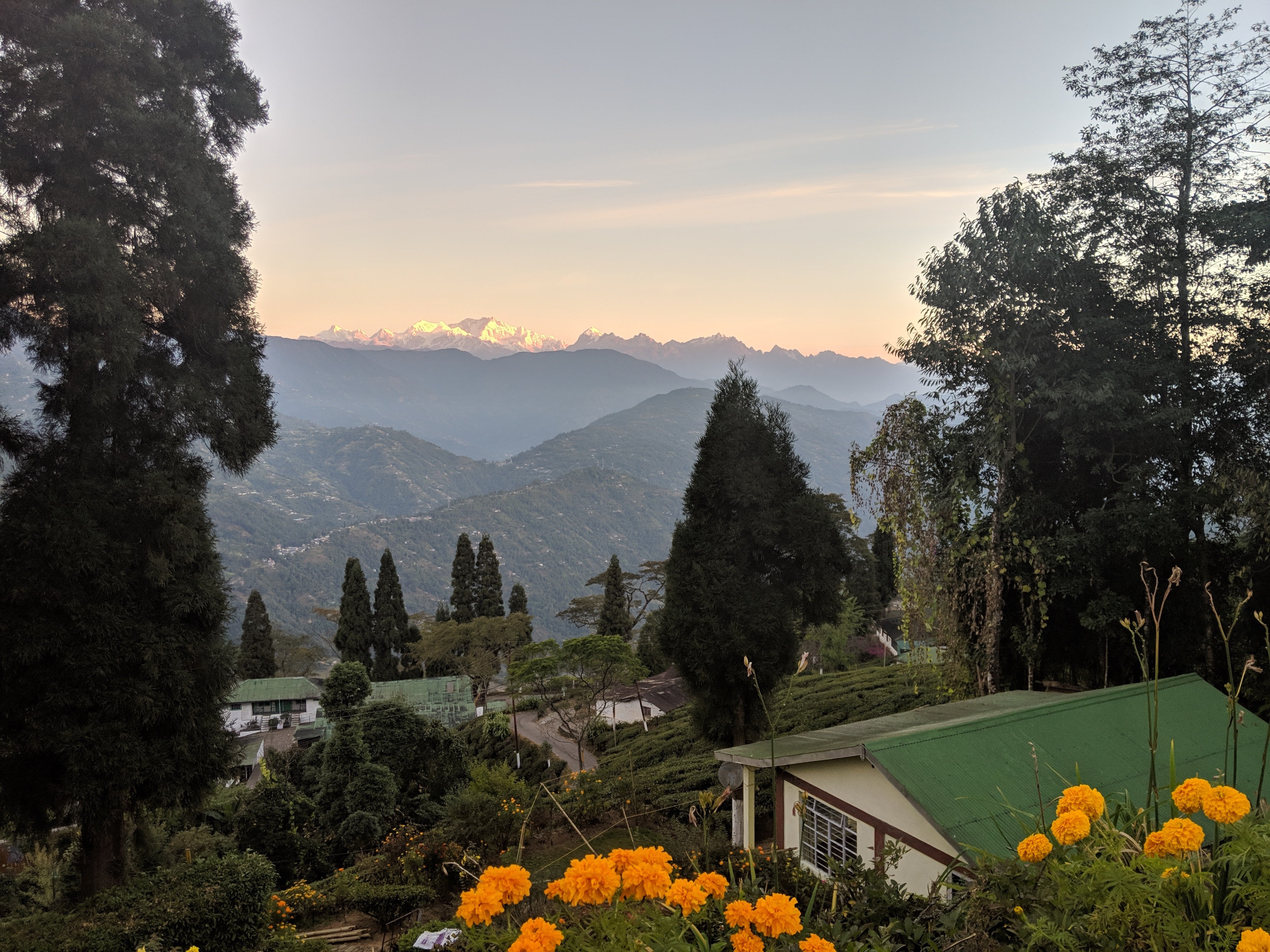 Beautiful view of the Kanchenjunga mountains in Darjeeling during sunrise