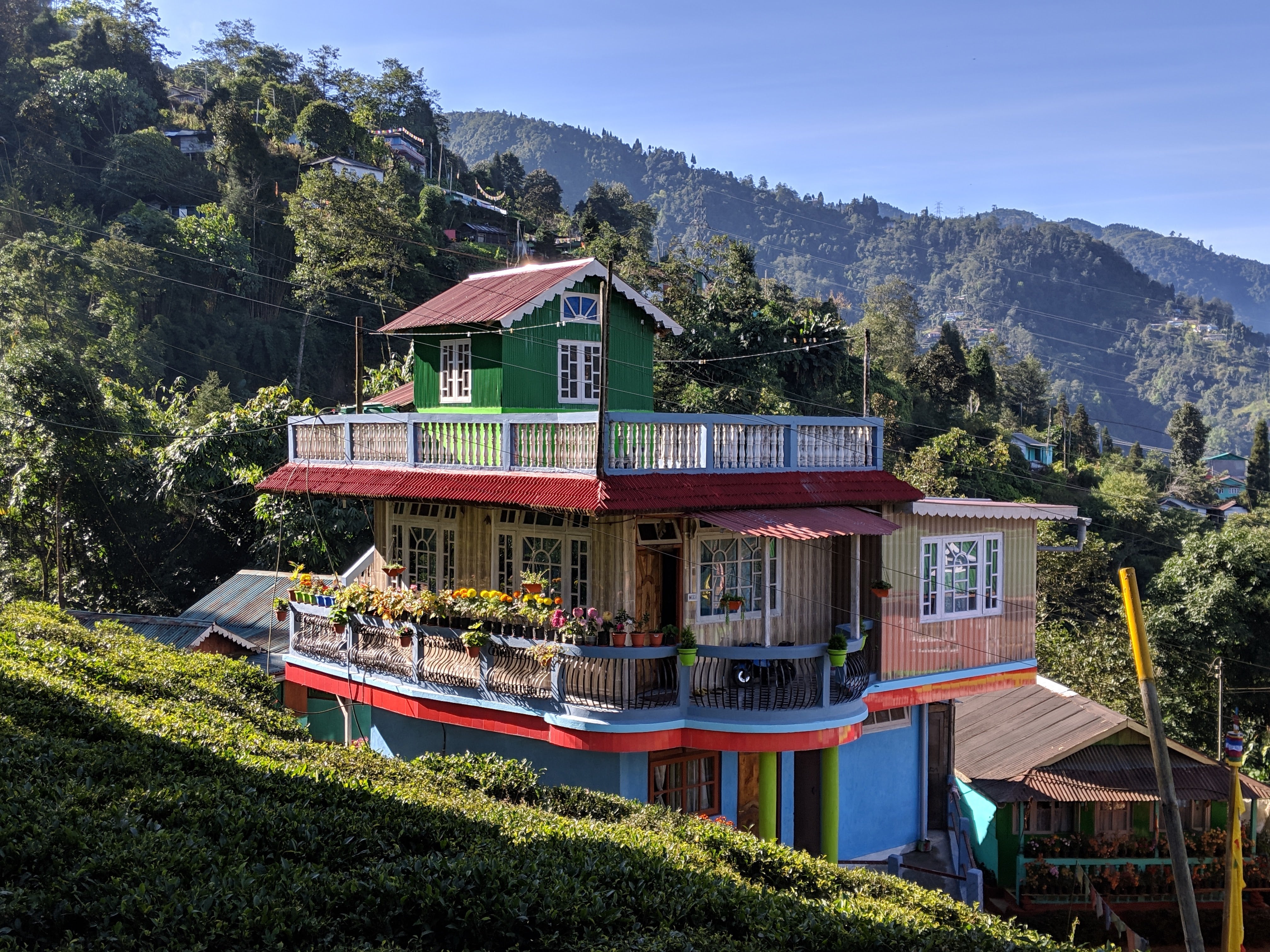 Tea estate bungalow in Darjeeling