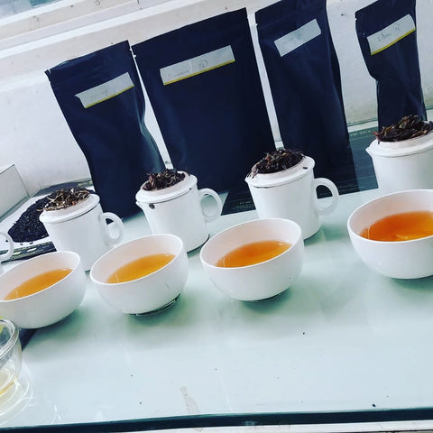 Tea tasting