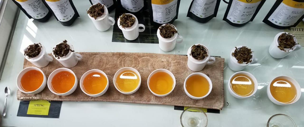 Tea tasting in various cups