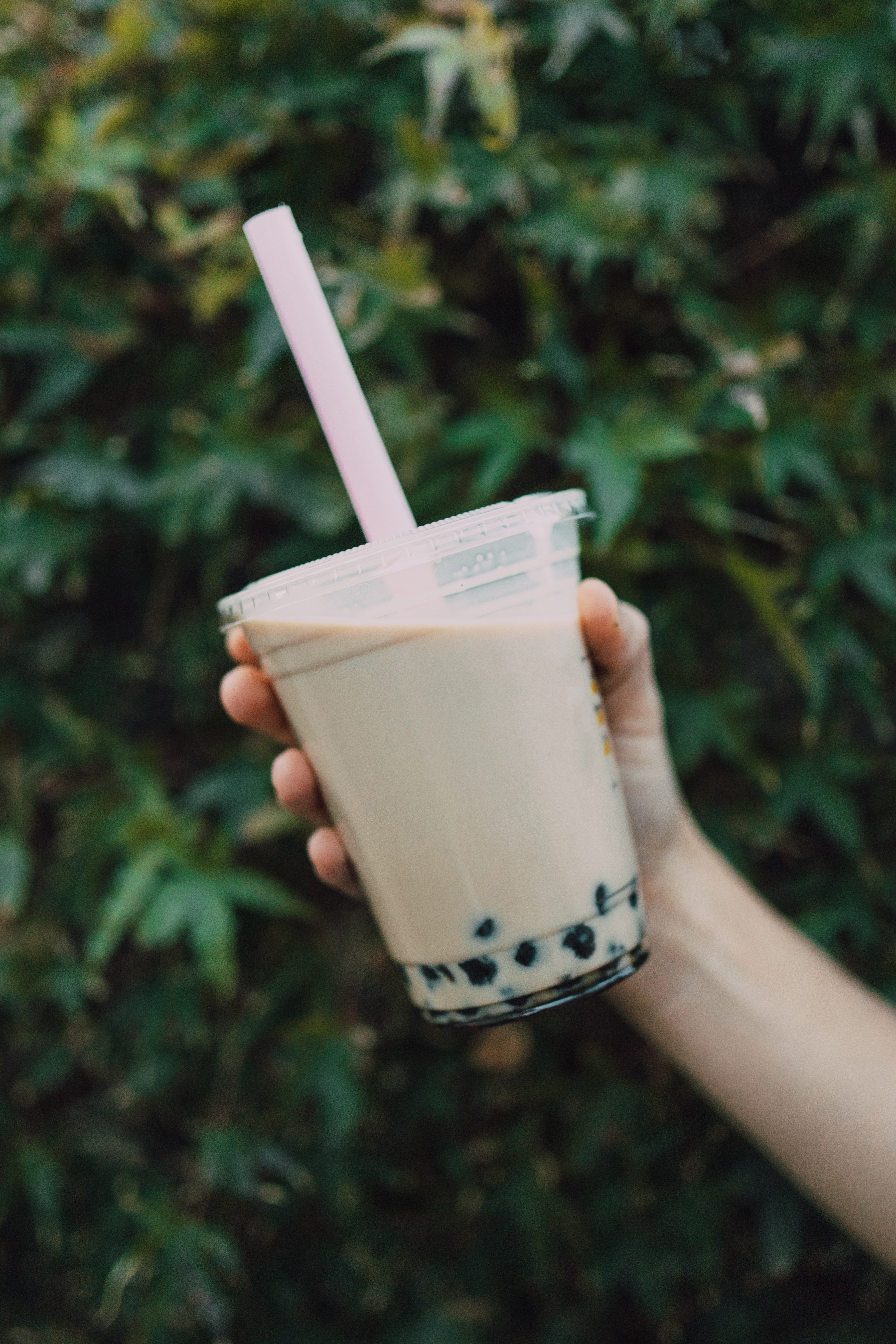 hand holding a cup filled with boba tea in a green leafy background