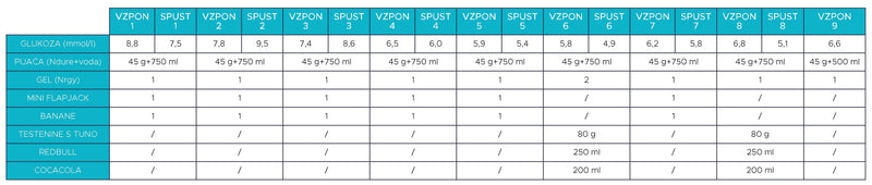 Energijski vnos Everesting