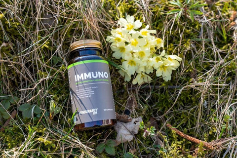 Dietary supplement for the immune system