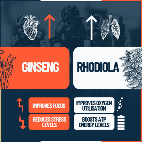 Ginseng and Rhodiola for higher VO2 max