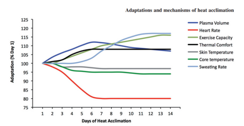 Heat Training influence on performance