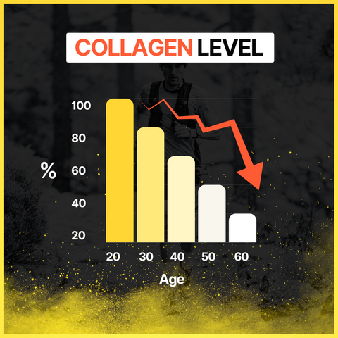 Collagen levels in body over time