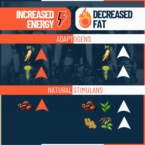 Fusion for higher vo2 max, more energy and less fat