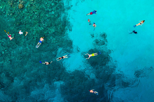 ariel view image of people snorkeling over a coral reef