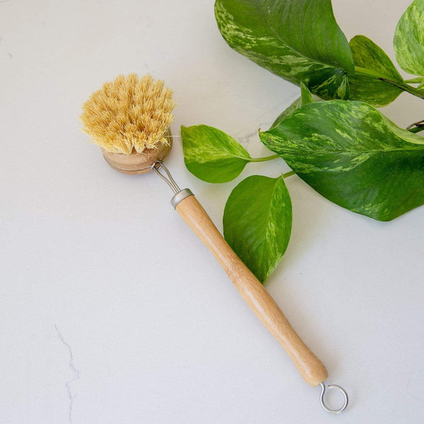 Zero Waste Modular Bamboo Dish Brush With Replaceable Head – Zero