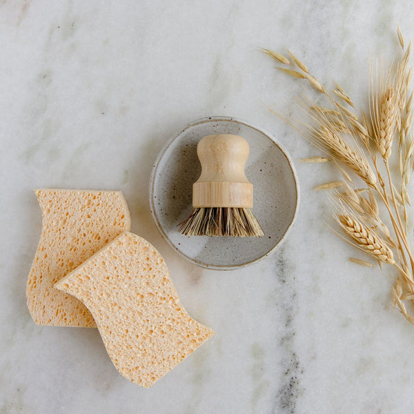 Eco Friendly Dish Scrubber | Coconut Dish Scour Pads | Free The Ocean