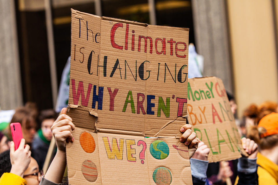 cardboard sign that reads 