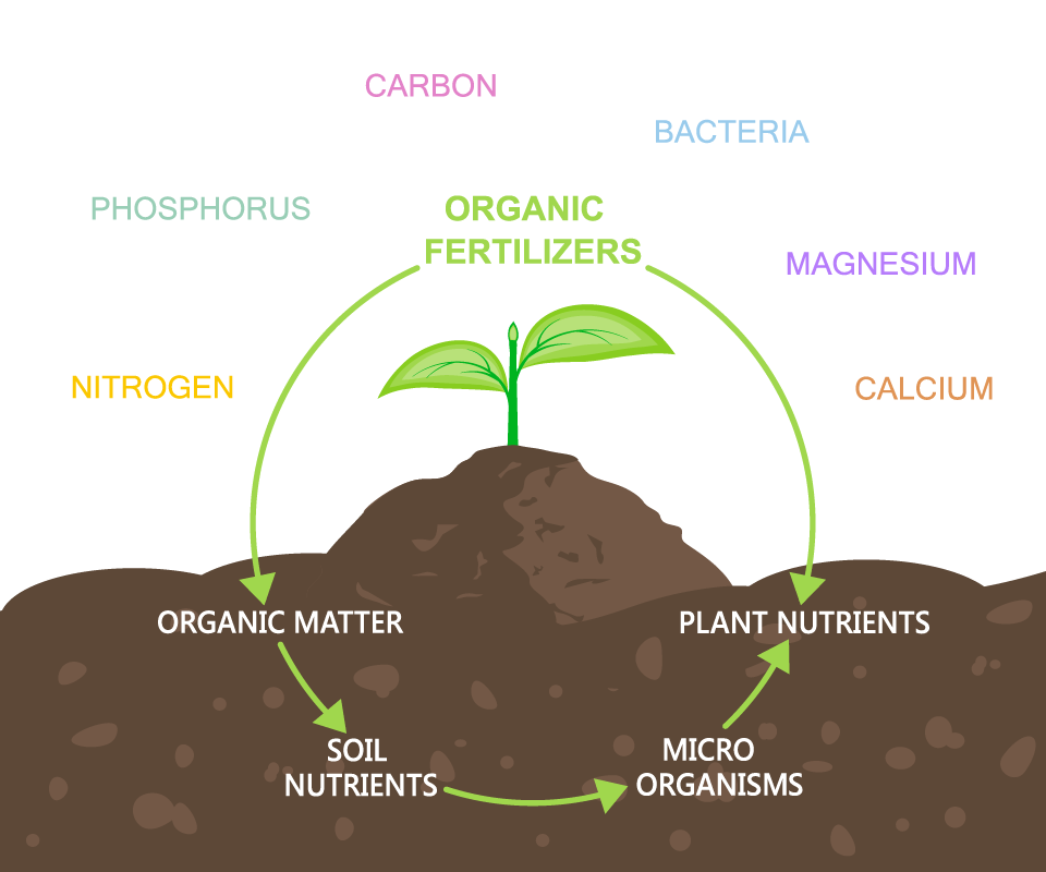 Graphic breakdown of a composting cycle