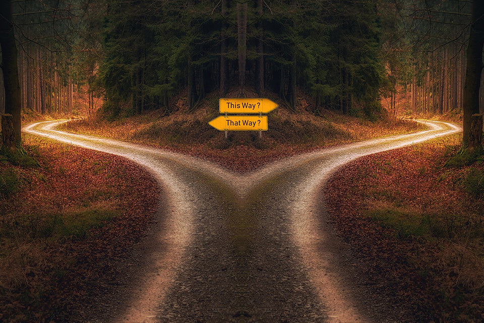 A single road in a forest that breaks left and right wrapping around a piece of land with pine trees in the middle. A sign sits at the break and reads 'This Way?' pointing right and 'That Way' pointing left.