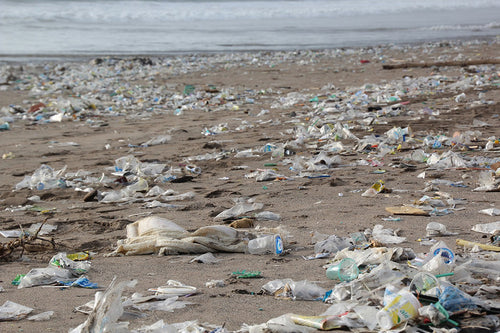 Sadly what a lot of beaches end up looking like - plastic bottles and pollution everywhere