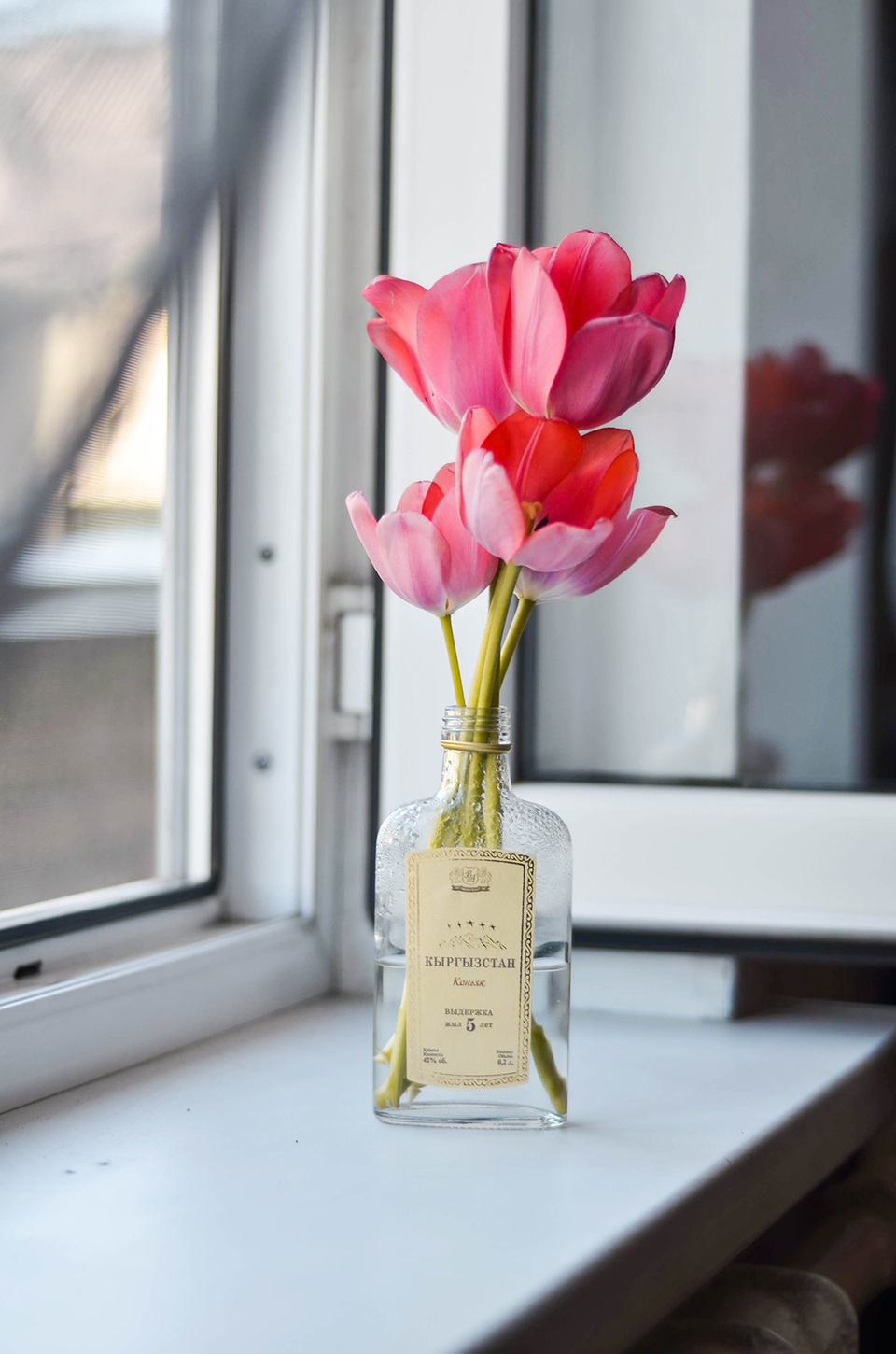 pink tulip flowers in reused glass bottle