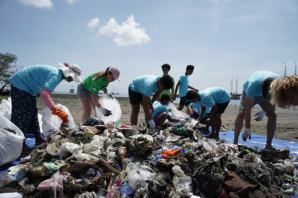 People gathering on the beach to collect and dispose of trash