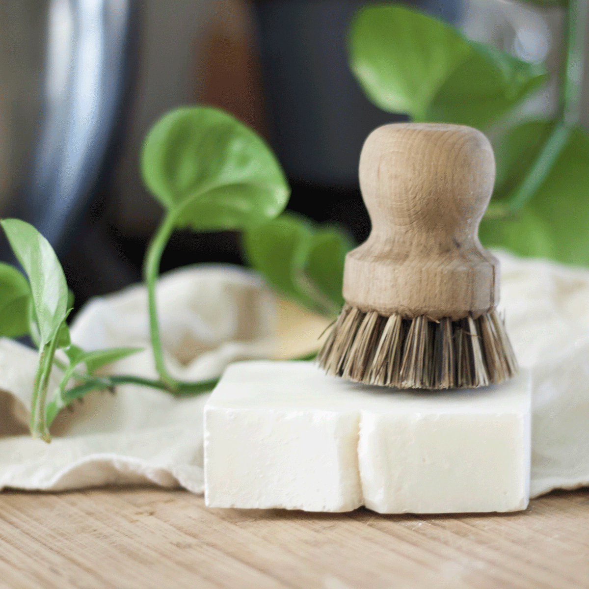 A small wooden brush on top of a white block of dish soap with some cloth and plant leaves in the background