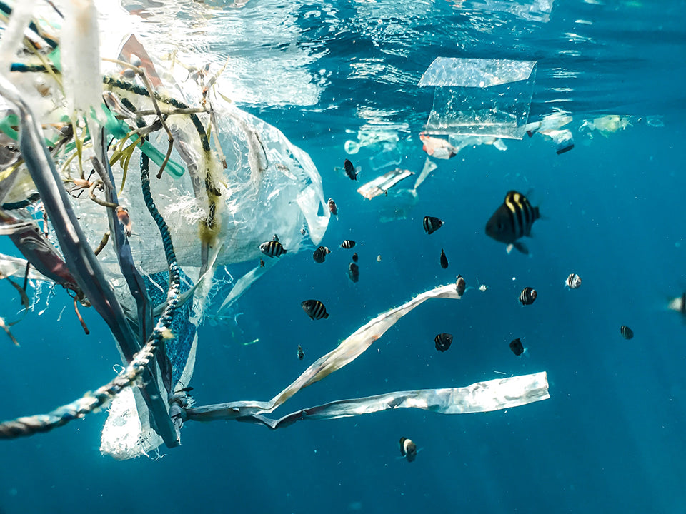 Underwater image of a few fish surrounded by plastic in the ocean.