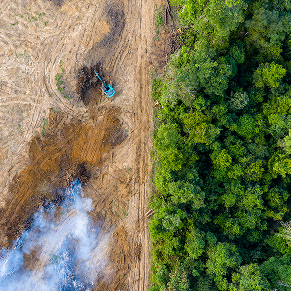 Aerial view of deforestation