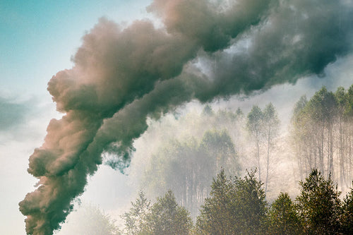 smoke clouds next to a forest