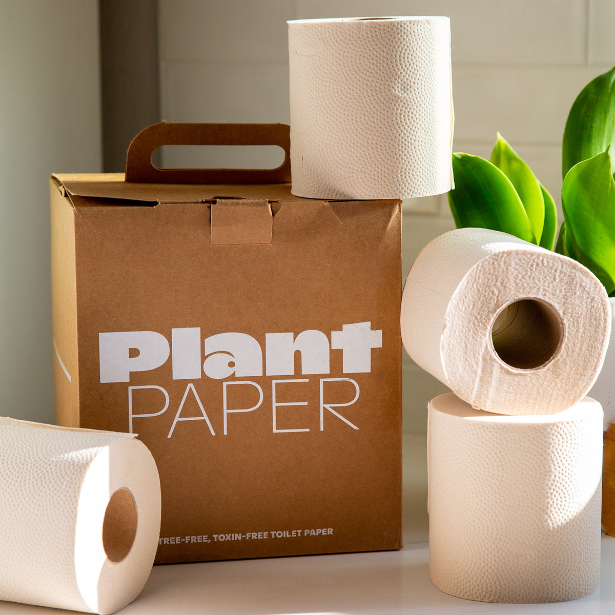 Zero waste toilet paper rolls stacked in front of a cardboard box with the bran name Plant Paper printed in white