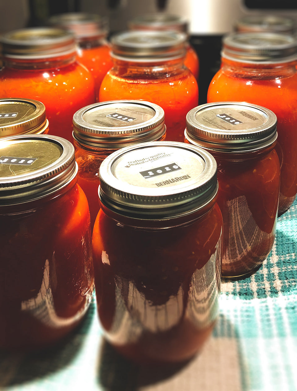 Several cans of tomato sauce sealed and preserved.