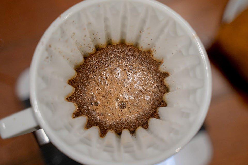 Wet coffee grinds looking down into a pour over coffee.