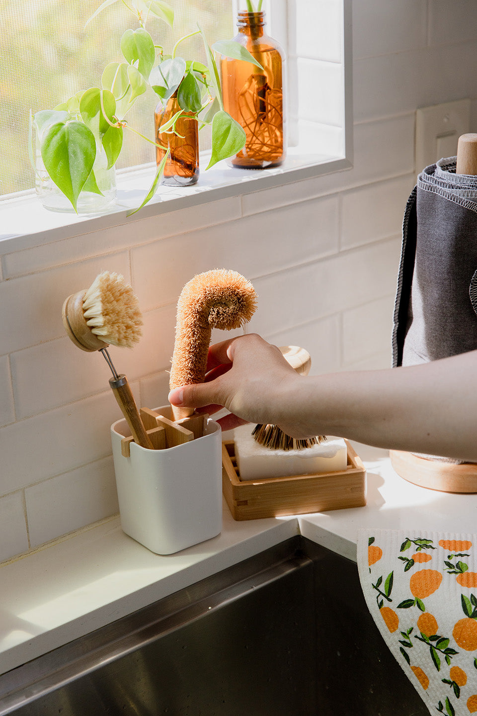 Plastic Free Wooden Dish Brush Head | Free The Ocean Brush and Head