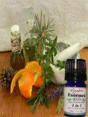 3 in 1 three inone essential
                                    oil blend bygarden essence oils An
                                    excellent blend for Strep, bacteria,
                                    viruses, etc