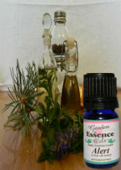 Alert aromatherapy blend by Garden Essence
                      Oils used for low energy, shock, get the brain
                      working
