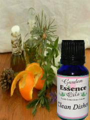 clean dishes essential oil
                                    blend