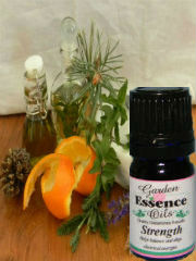 Strength essential oil blend
                                  aromatherapy for your health