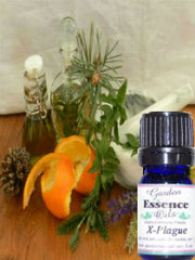 x plague essential oil b garden
                                essence oils