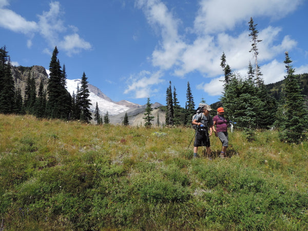 Drs E and C backcountry at Mt Ranier National Park