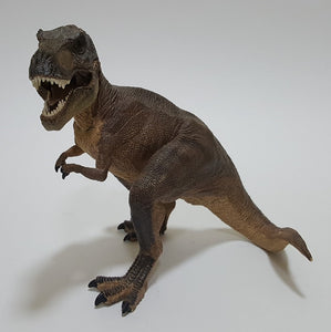 Dinosaur (Tyrannosaurus Rex) model.