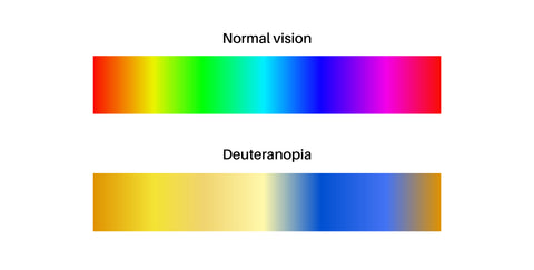 Deuteranopia and normal vision, color blindness infographic. Human vision deficiency concept.