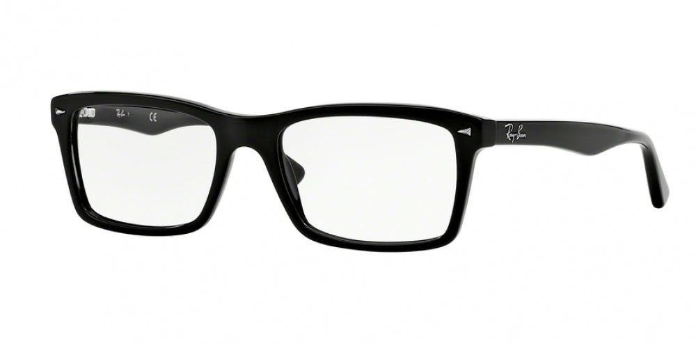 ray ban 5287 tortoise