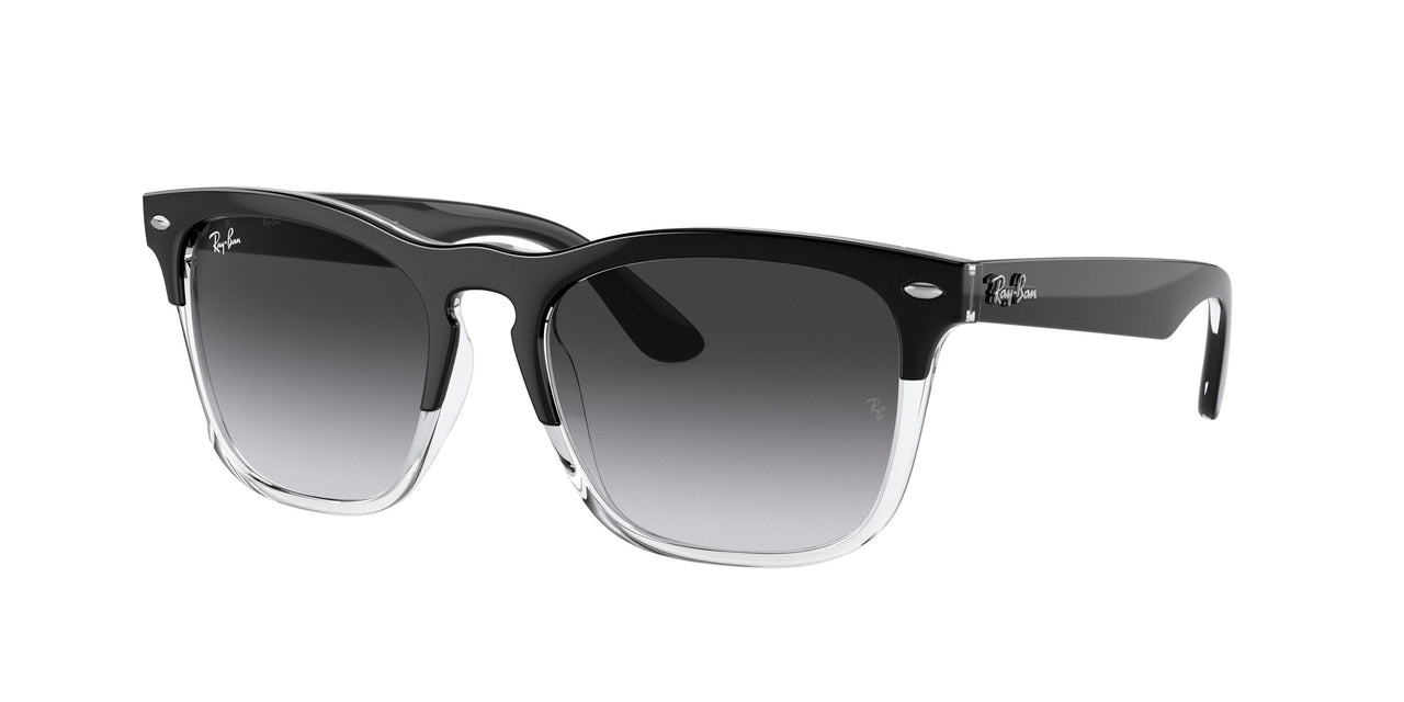 Ray Ban Steve 4487F Sunglasses – 