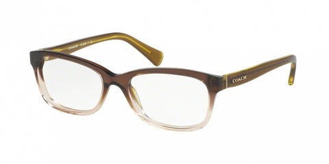 coach eyeglasses blue