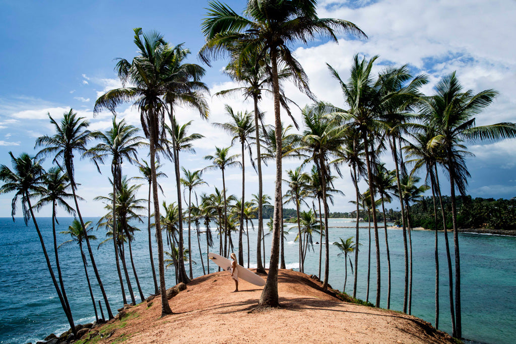 Woman holding her surfboard standing in a field of palm trees overlooking the ocean 